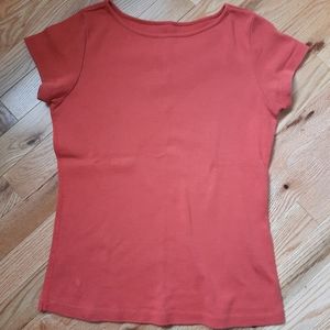 🦋 3 for $12 Rust Segments Classic t-shirt